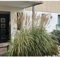 2-Zimmer-EG-Wohnung mit Terrasse & neuem Wintergarten - Berlin Reinickendorf