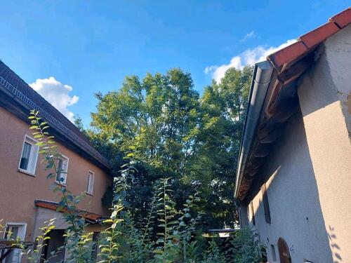 Foto - Einfamilienhaus in Pölzig zum Kaufen
