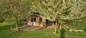 Foto - Einfamilienhaus in Neuengörs zum Kaufen