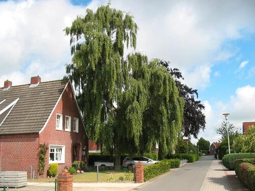 Foto - 4 Zimmer Einfamilienhaus zur Miete in Westerholt