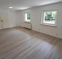 Erstbezug nach Renovierung. Große 1 Zimmer Wohnung mit Balkon - Wiesbaden Bierstadt