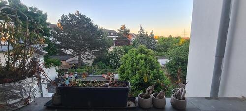 Foto - Renovierte 2-Zimmer-Wohnung mit EBK & Balkon in D-Eller