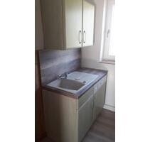 3 Raum Wohnung mit Einbauküche Garage und Garten in Schwandt - Rosenow