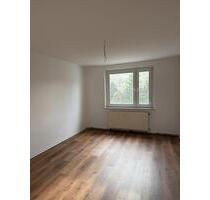 3-Raumwohnung zu vermieten - 59qm, Balkon, Badewanne - Heidenau