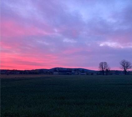 Foto - 10 Zimmer Einfamilienhaus zum Kaufen in Königsbrück