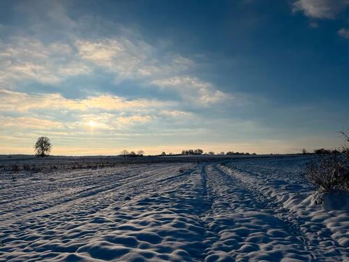 Foto - Einfamilienhaus in Königsbrück zum Kaufen