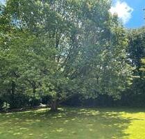 ETW Bad Oeynhausen-Werste | 2 Zimmer | EG | Loggia | Stellplatz