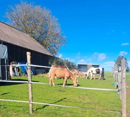 Foto - Grundstück in Burglengenfeld