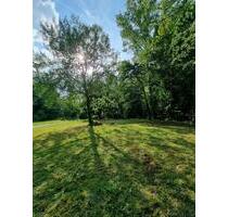 Freizeitgrundstück mit Wiese & Wald am Fluss bei Wiehl