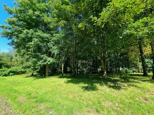 Foto - Grundst&uuml;ck in Wiehl zur Miete