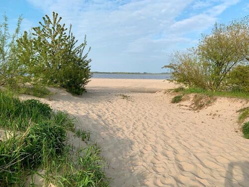 Foto - andere in Buxtehude