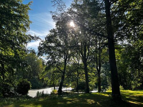 Foto - 1 Zimmer andere zur Miete in Wilster