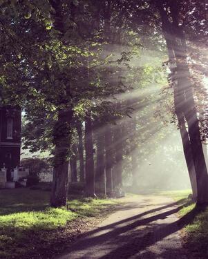 Foto - 1 Zimmer andere in Wilster