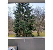 3 Zimmer Wohnung mit Balkon in Nürnberg Gartenstadt