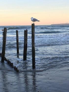 Foto - andere zur Miete in Dranske