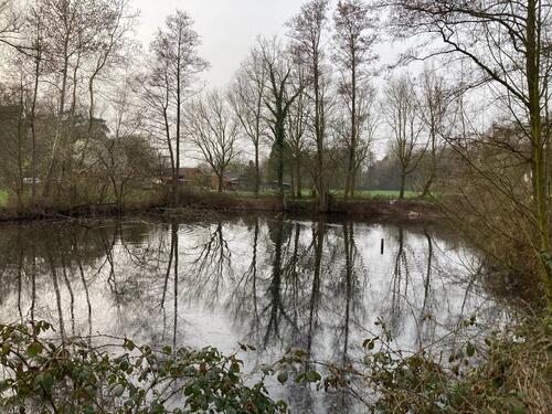 Foto - Naturgrundstück mit Teich für Freizeit & Ruhe – Angeln möglich