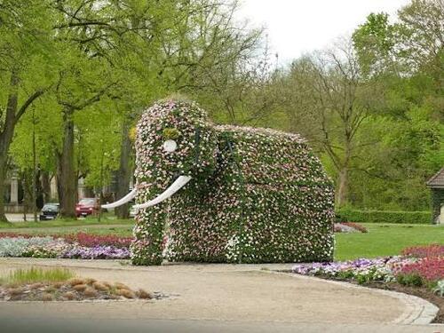 Foto - 1 Zimmer Etagenwohnung in Hamm