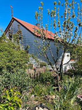 Foto - 5 Zimmer Einfamilienhaus zur Miete in Buchhofen