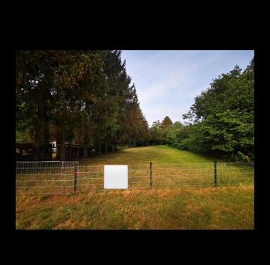 Foto - Wiese - Landwirtschaftliches Grundstück 1000qm in Dingden