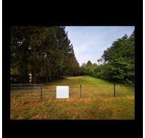 Wiese - Landwirtschaftliches Grundstück 1000qm in Dingden - Bocholt