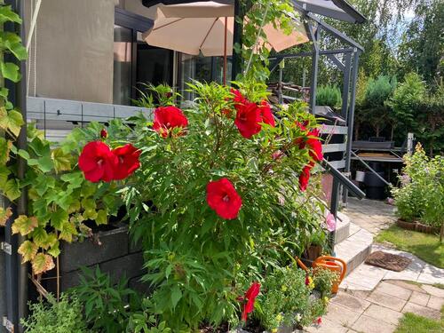 Foto - Garten- und Freizeithaus mit Flair voll saniert