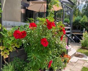 Garten- und Freizeithaus mit Flair voll saniert - Eisenhüttenstadt