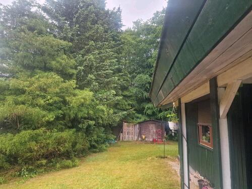 Foto - 3 Zimmer Einfamilienhaus in Hohenwestedt