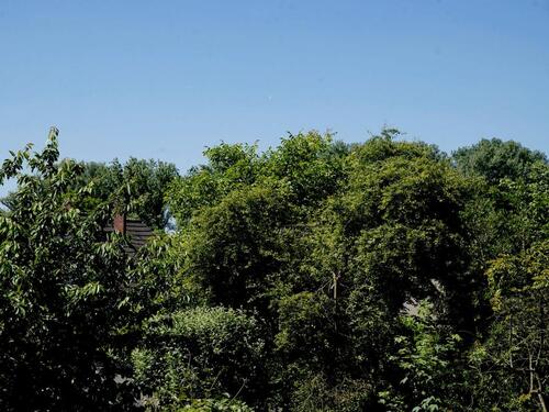 Foto - freistehendes Einfamilenhaus an der Urdenbacher Kempe