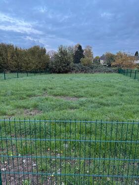 Foto - Garten zur individuellen Nutzung