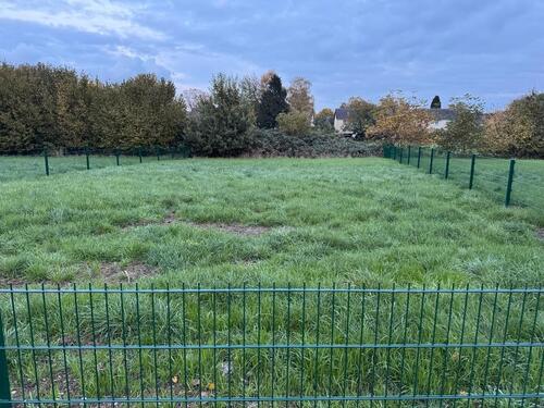 Foto - Grundstück zur Miete in Gelsenkirchen