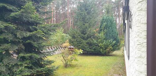 Foto - Einfamilienhaus in Senftenberg