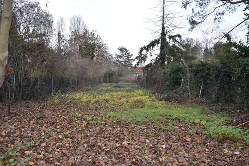 Foto - Unbebautes Grundstück Garten zu vermieten