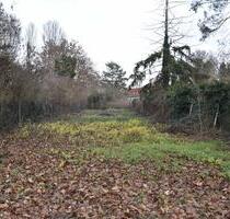 Unbebautes Grundstück Garten zu vermieten - Magdeburg Lemsdorf