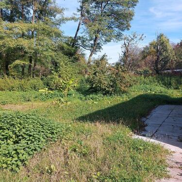 Foto - Grundstück zur Miete in Lörrach