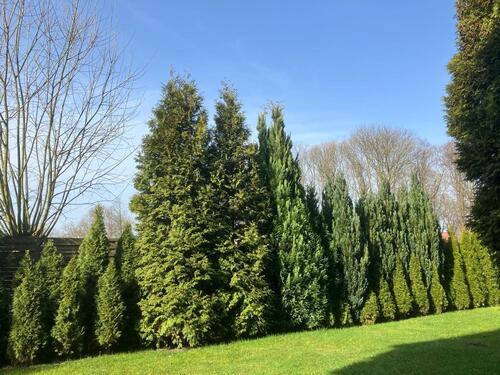 Foto - Datteln stadtnah - 400,00&nbsp;EUR Kaltmiete, ca.&nbsp; 47,00&nbsp;m&sup2;