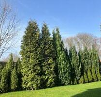 Datteln stadtnah - 400,00&nbsp;EUR Kaltmiete, ca.&nbsp; 47,00&nbsp;m&sup2; in Datteln (PLZ: 45711)