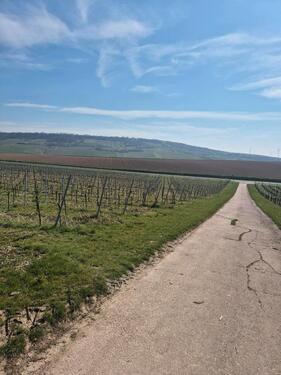 Foto - Zimmer in Bingen 300 € kalt - 480,00&nbsp;EUR Kaltmiete, ca.&nbsp; 17,00&nbsp;m&sup2;