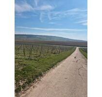 Zimmer in Bingen 300 € kalt - 480,00&nbsp;EUR Kaltmiete, ca.&nbsp; 17,00&nbsp;m&sup2; in Bingen am Rhein (PLZ: 55411)