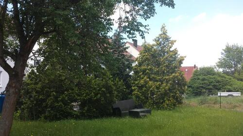 Foto - 4 Zimmer Dachgeschoßwohnung in Wiesentheid