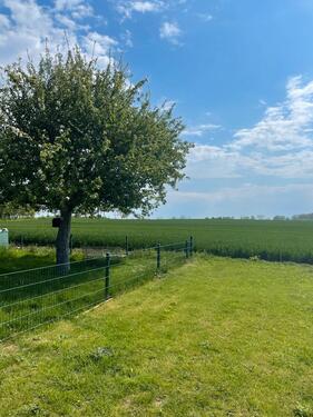 Foto - 2 Zimmer Doppelhaushälfte in Heringsdorf