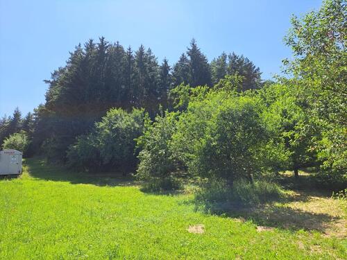 Foto - Freizeitgrundstück mit Streuobswiese