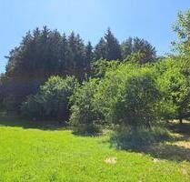 Freizeitgrundstück mit Streuobswiese - Haiterbach