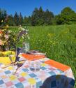 Foto - Grundstück zur Miete in Haiterbach