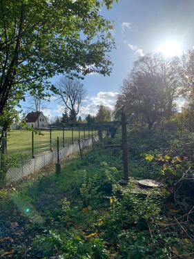 Foto - Grundst&uuml;ck in Gröningen zur Miete