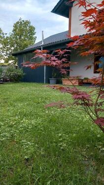 Foto - Einfamilienhaus in Bogen zum Kaufen