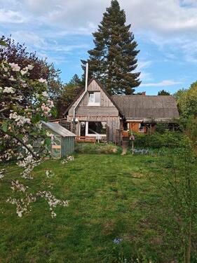 Foto - 5 Zimmer Einfamilienhaus in Bad Oldesloe
