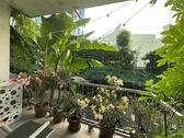 Foto - 1 Zimmer Hochparterre zum Kaufen in Wiesbaden