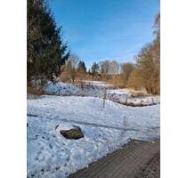 Grundstück Wiese Garten Zella-Mehlis