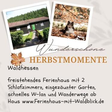 Foto - Ferienhaus - Urlaub mit Hunden - 580,00 EUR Kaltmiete,