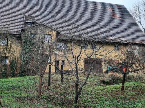Foto - 5 Zimmer Bauernhaus, Landhaus zum Kaufen in Villingen-Schwenningen